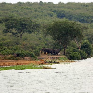 KAZINGA CHANNEL